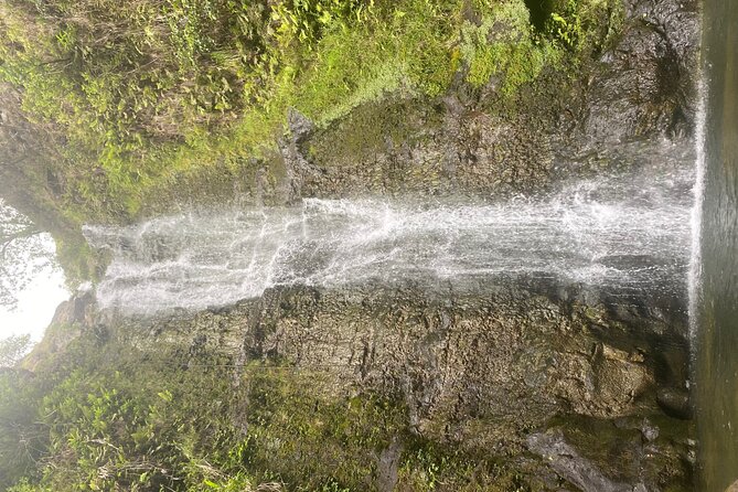 Island of Maui Customized Half Day Tour - Road to Hāna for waterfalls and lush scenery