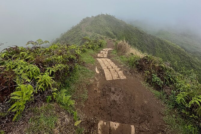 Island of Maui Customized Half Day Tour - Black Rock, Dragons Teeth, and a more adventurous coast