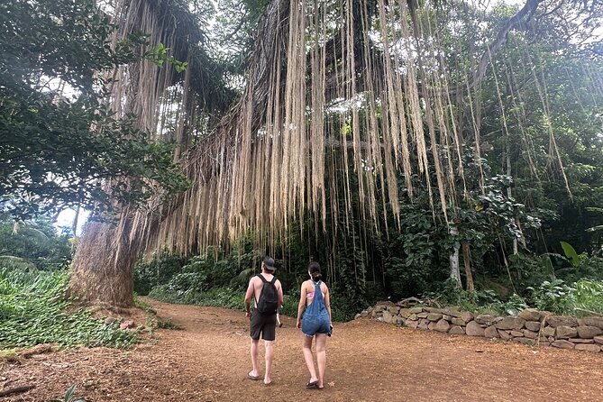 Island of Maui Customized Half Day Tour - What the private format is worth at $350 per person