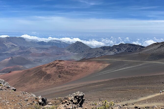 Island of Maui Customized Half Day Tour - Snorkeling with sea turtles and the photo advantage