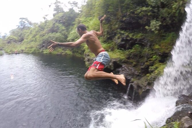 Jungle Waterfall Adventure on Maui - Waterfalls, swimming holes, and the rope swing