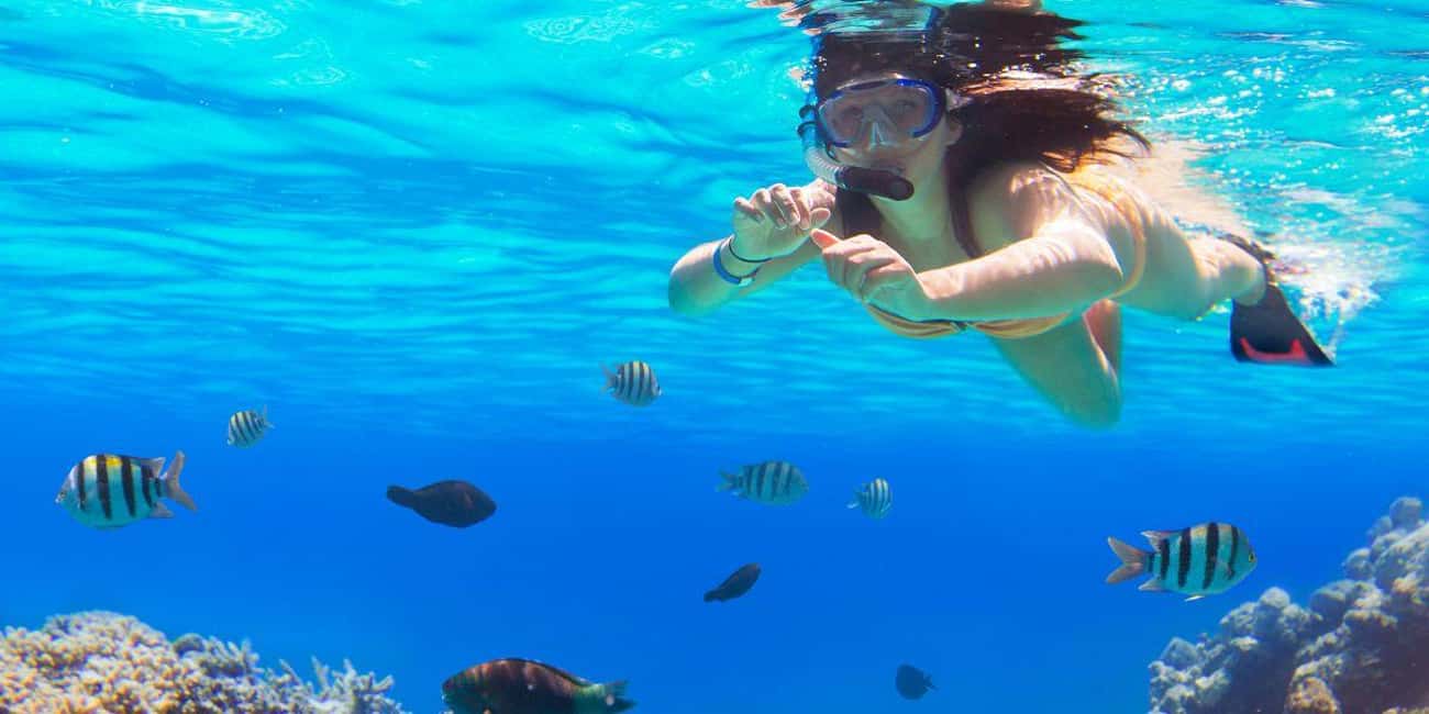 Ka'anapali Beach: Coral Reef Snorkel and Turtle Spotting - Cruising toward Mala Wharf or another West Maui site