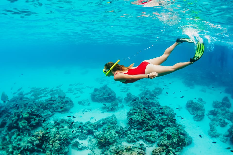 Ka'anapali Beach: Coral Reef Snorkel and Turtle Spotting - Turtle time in the clear West Maui water