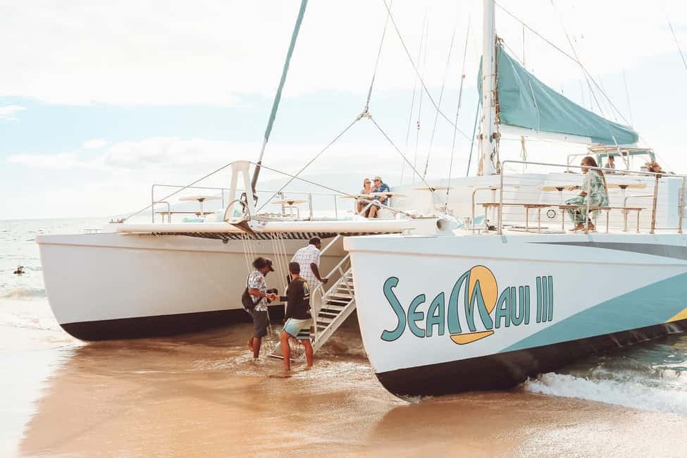 Ka'anapali Beach: Coral Reef Snorkel and Turtle Spotting - Who should book this Kaanapali snorkel?