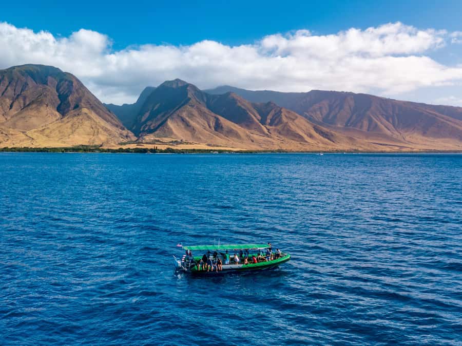 Ka'anapali: Whale Watching Boat Tour - Key points to know before you book