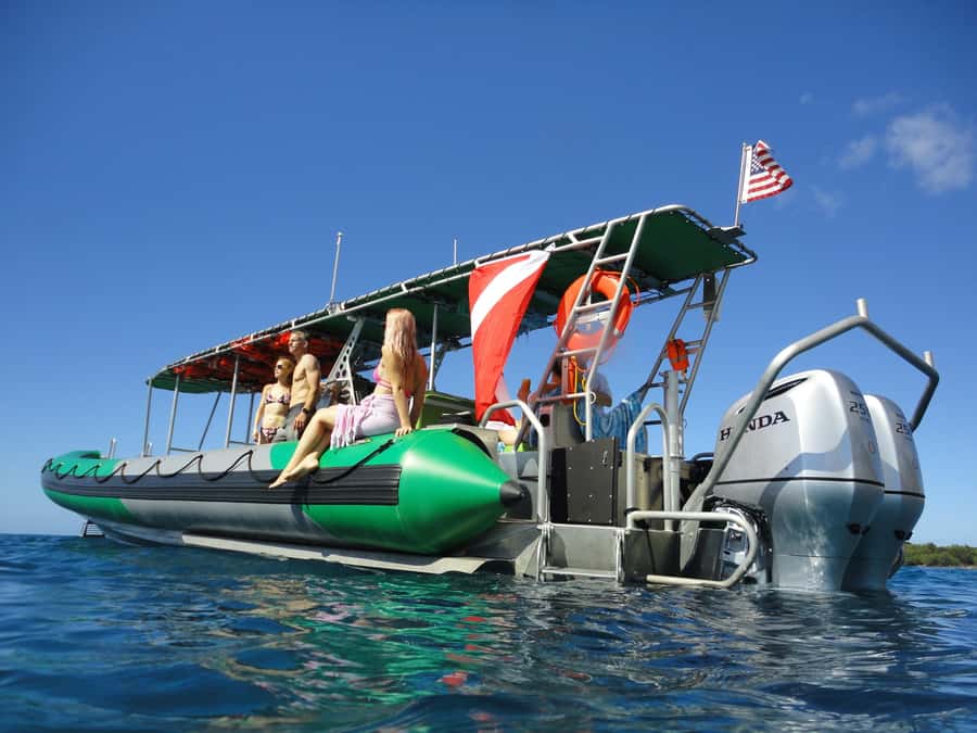 Ka'anapali: Whale Watching Boat Tour - What happens during the two-hour search