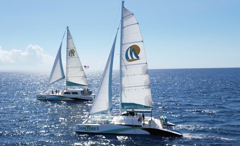 Kaanapali: Whale Watching Cruise with Open Bar - What you might see on the water