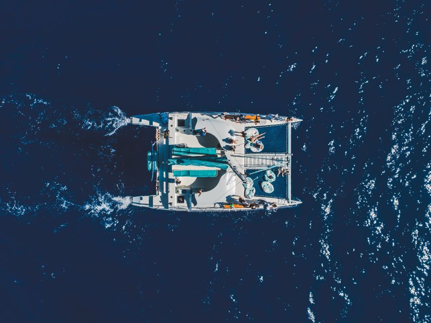 Kaanapali: Whale Watching Cruise with Open Bar - A comfortable catamaran, not a bare-bones whale boat