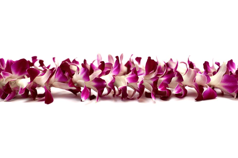 Kahului Airport: Maui Flower Lei Greeting Upon Arrival - Key points to know before booking