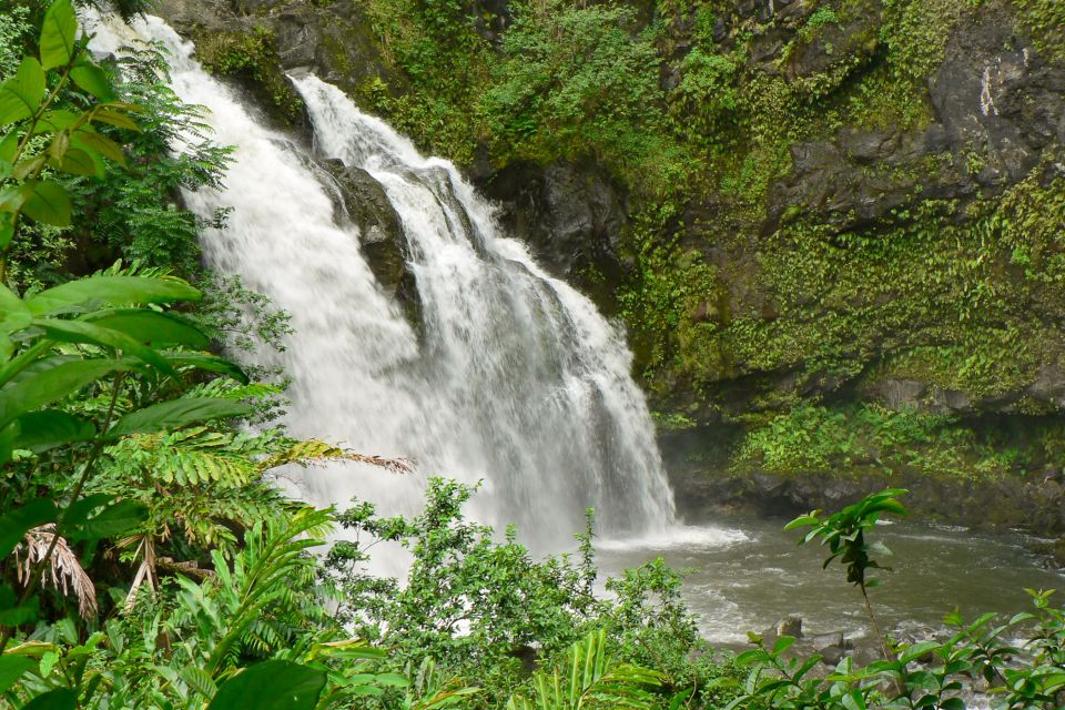 Kahului: Guided Rainforest and Waterfall Walk - Key points to know before you book