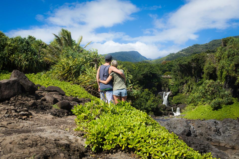 Kahului: Guided Rainforest and Waterfall Walk - A short rainforest walk with a big payoff