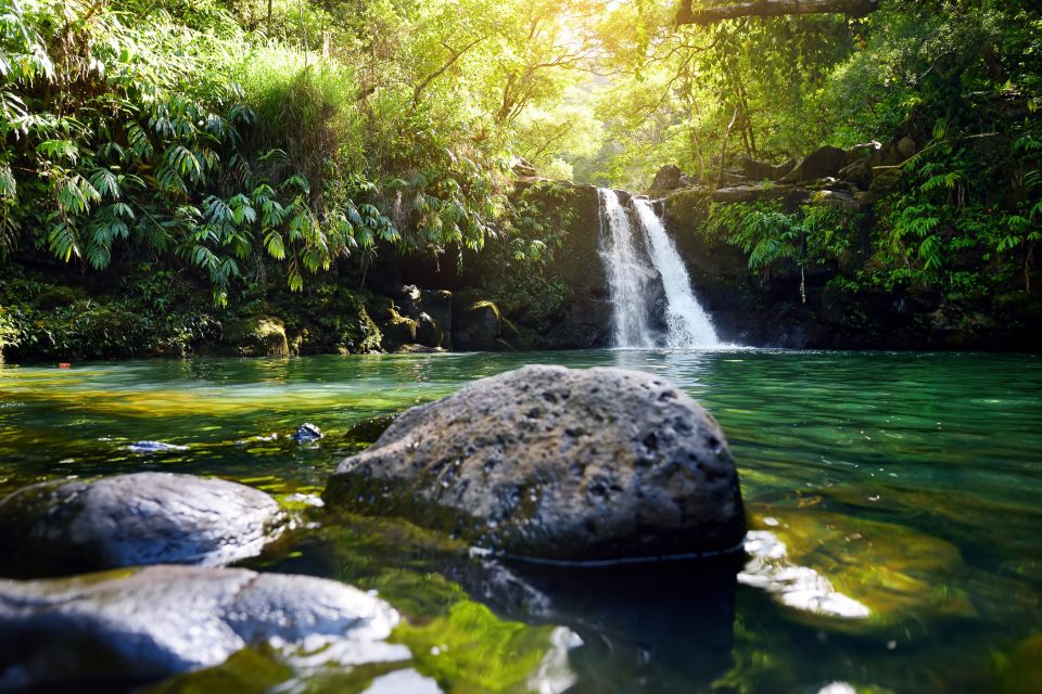 Kahului: Guided Rainforest and Waterfall Walk - Walking beneath Maui’s tropical canopy