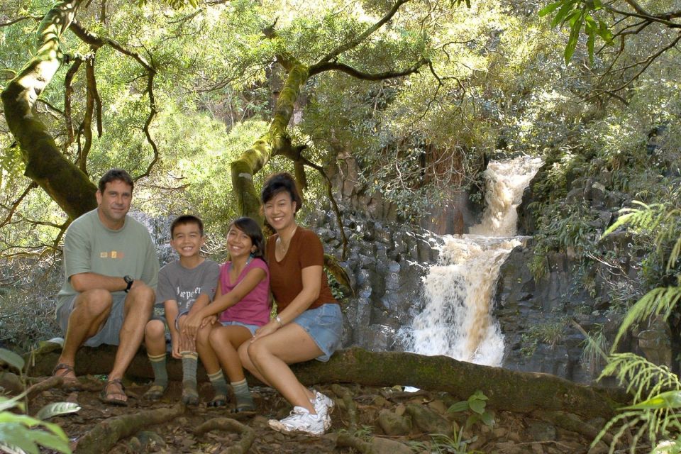 Kahului: Guided Rainforest and Waterfall Walk - Stories about plants, culture, and Maui