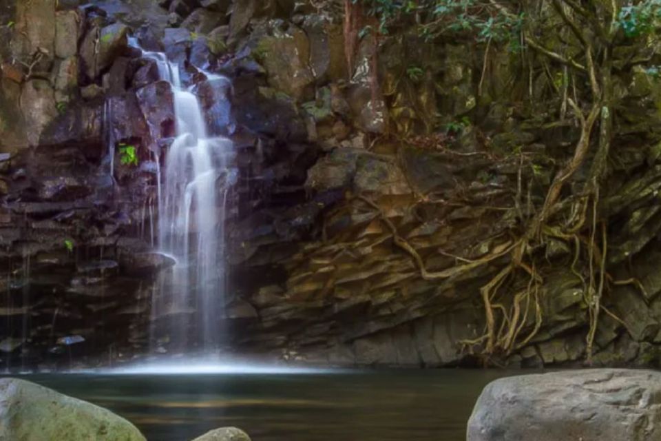 Kahului: Guided Rainforest and Waterfall Walk - Is $120 a fair price?