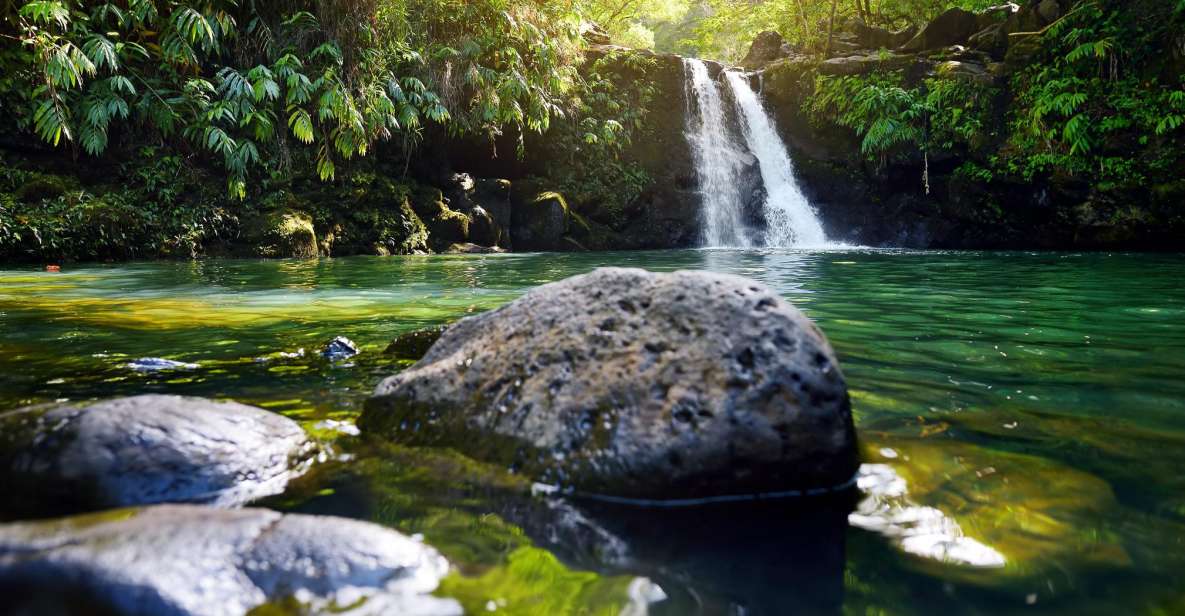 Kahului: Guided Rainforest and Waterfall Walk - Meeting your guide and getting ready