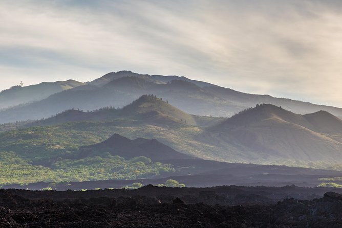 Kahului Shore Excursion: Private Tropics of Maui & Rainforest - Maui Tropical Plantation and old sugar-country details