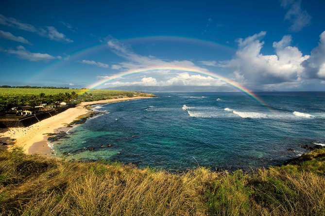 Kahului Shore Excursion: Private Tropics of Maui & Rainforest - Makena Beach and the 1790 lava fields