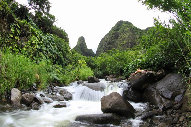 Kahului Shore Excursion: Private Tropics of Maui & Rainforest - Is $799 a good value?