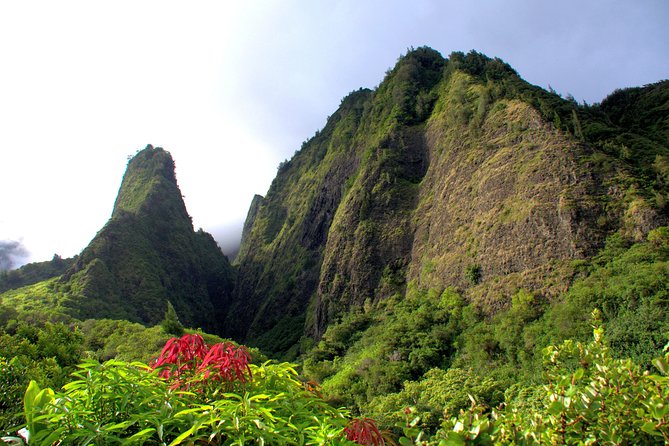 Kahului Shore Excursion: Private Tropics of Maui & Rainforest - Iao Valley: Mauis wet, dramatic heart