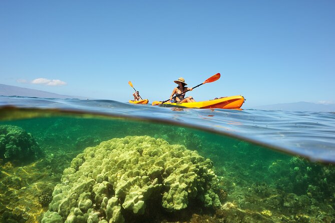 Kayak and Snorkel: Maui West Shore - Paddling beside the West Maui Mountains