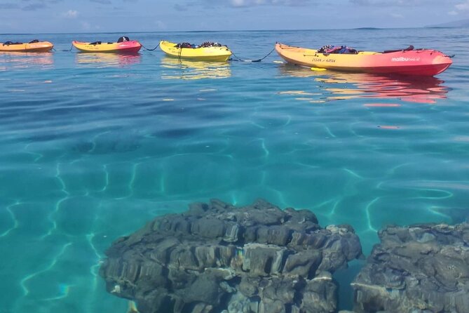 Kayak and Snorkel: Maui West Shore - Equipment, comfort, and what the price covers