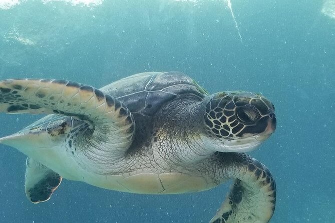 Kayak and Snorkel: Maui West Shore - What the 2.5-hour schedule feels like