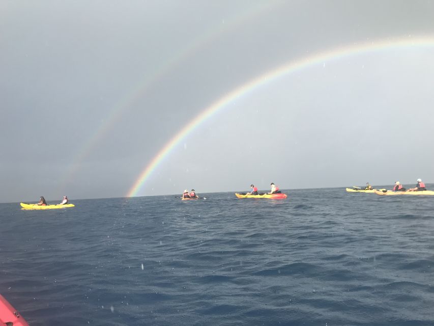 Kayak and Snorkel West Maui at Olowalu - Key points to know before booking