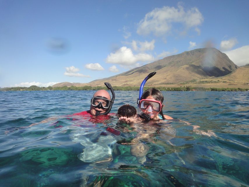 Kayak and Snorkel West Maui at Olowalu - A guide who explains the sea, not just the sights