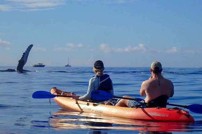 Kayak and Whale Watching Tour - Chris and Kris as guides