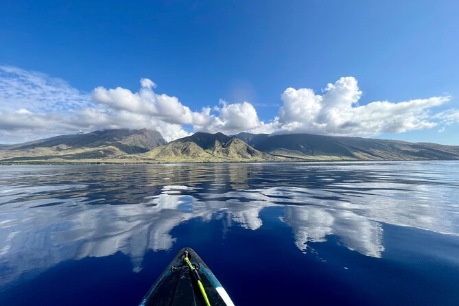 Kayak & Turtle Town Snorkel(Turtles Guaranteed) + Whale Watching - Starting from Olowalu’s clear coastal water