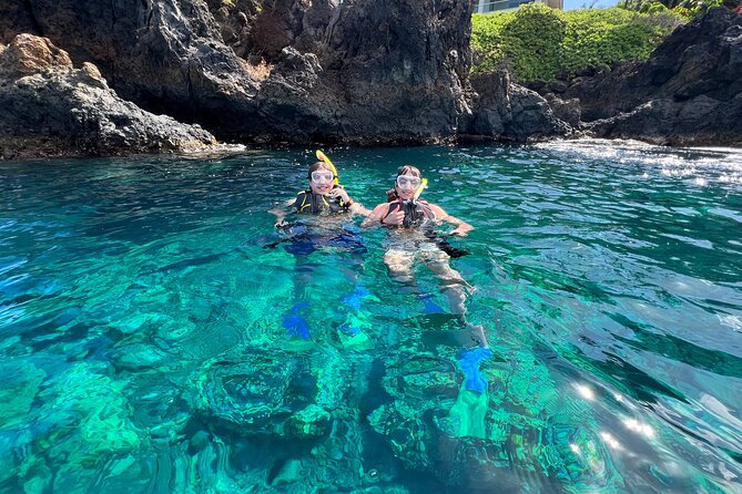 Kayak & Turtle Town Snorkel(Turtles Guaranteed) + Whale Watching - Who will enjoy this Olowalu outing