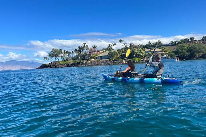 Kayak & Turtle Town Snorkel(Turtles Guaranteed) + Whale Watching - Weather, cancellations, and timing
