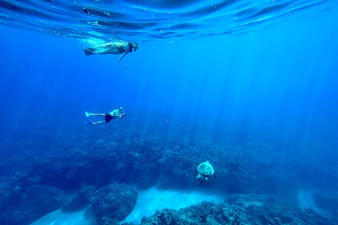 Kayak & Turtle Town Snorkel(Turtles Guaranteed) + Whale Watching - Paddling the West Maui coast by tandem kayak