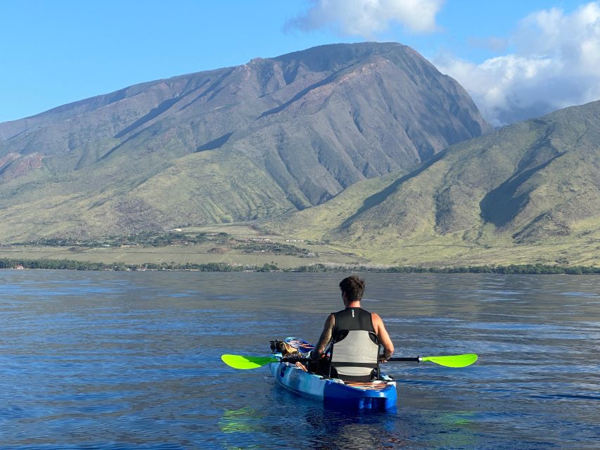 Kayak, Whale Watch And Snorkel At Turtle Town - Practical preparation for the meeting point and water
