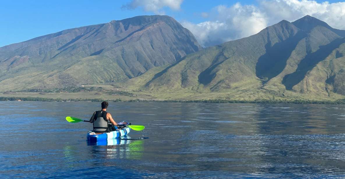 Kayak, Whale Watch And Snorkel At Turtle Town - Starting at Olowalu’s sandy beach