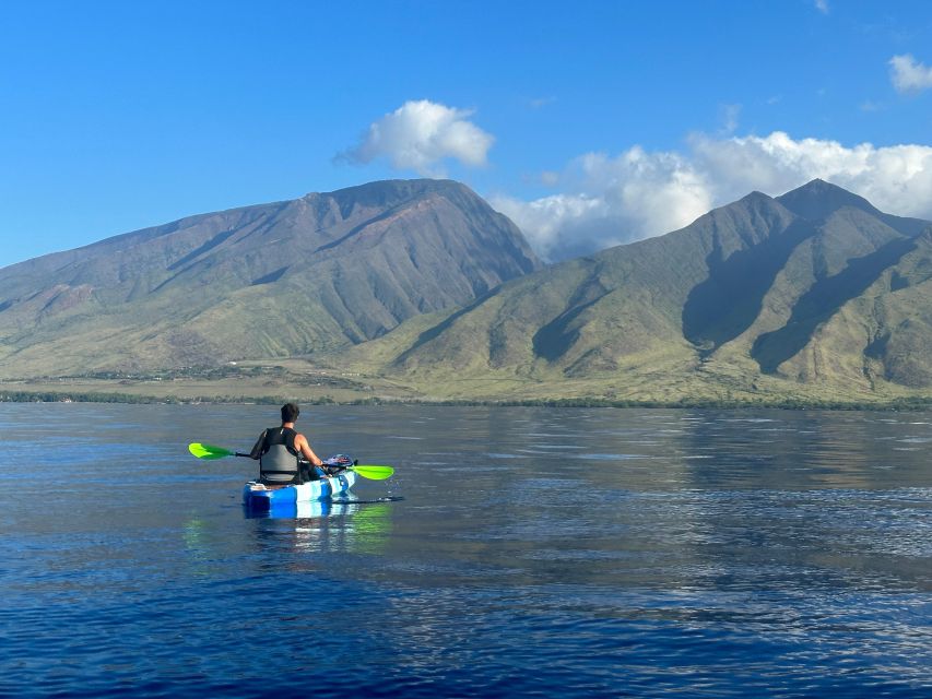 Kayak, Whale Watch And Snorkel At Turtle Town - Watching for humpback whales from the kayak
