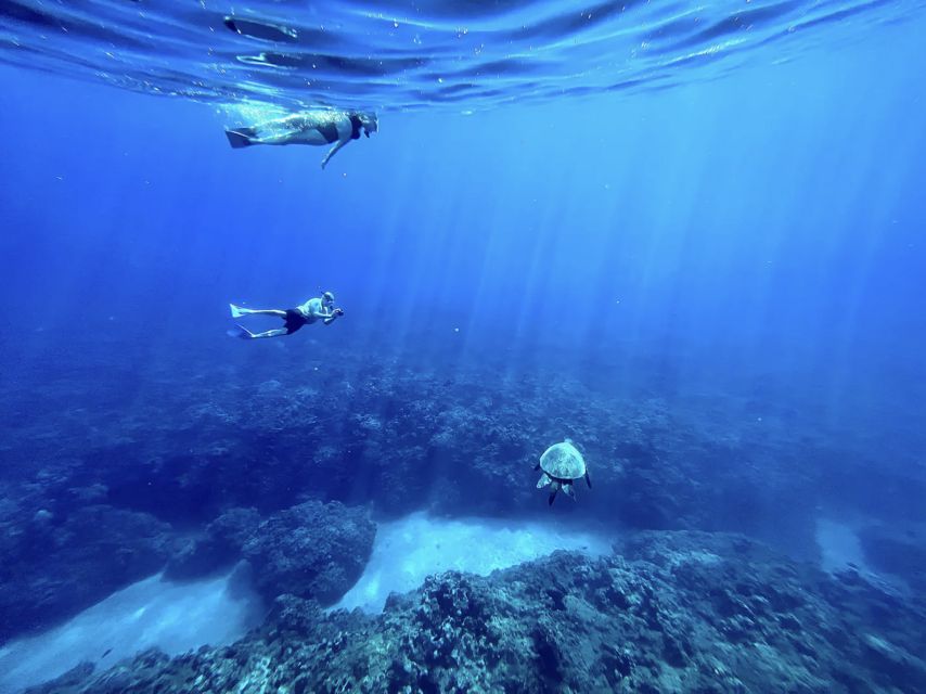 Kayak, Whale Watch And Snorkel At Turtle Town - What the small group changes