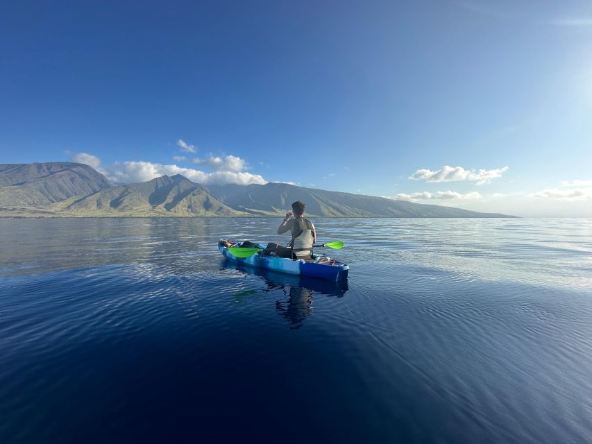 Kayak, Whale Watch And Snorkel At Turtle Town - Why the equipment matters on a three-hour outing