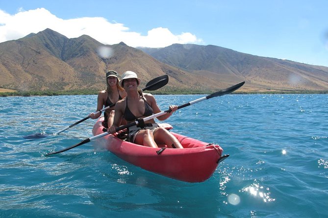 Lahaina Kayak and Snorkel Excursion - Wildlife talk that adds more than scenery