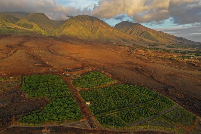 Lahaina: Maui Ku'ia Estate Guided Cacao Farm Tour and Tasting - Group size, timing, and the small-group question
