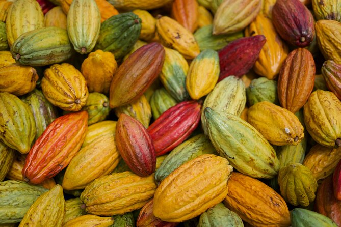 Lahaina: Maui Ku'ia Estate Guided Cacao Farm Tour and Tasting - Weather, cancellation, and planning details