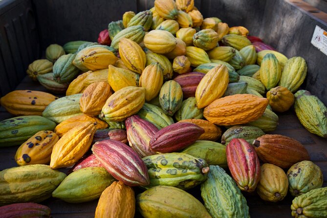 Lahaina: Maui Ku'ia Estate Guided Cacao Farm Tour and Tasting - Who will enjoy this cacao farm tour most?
