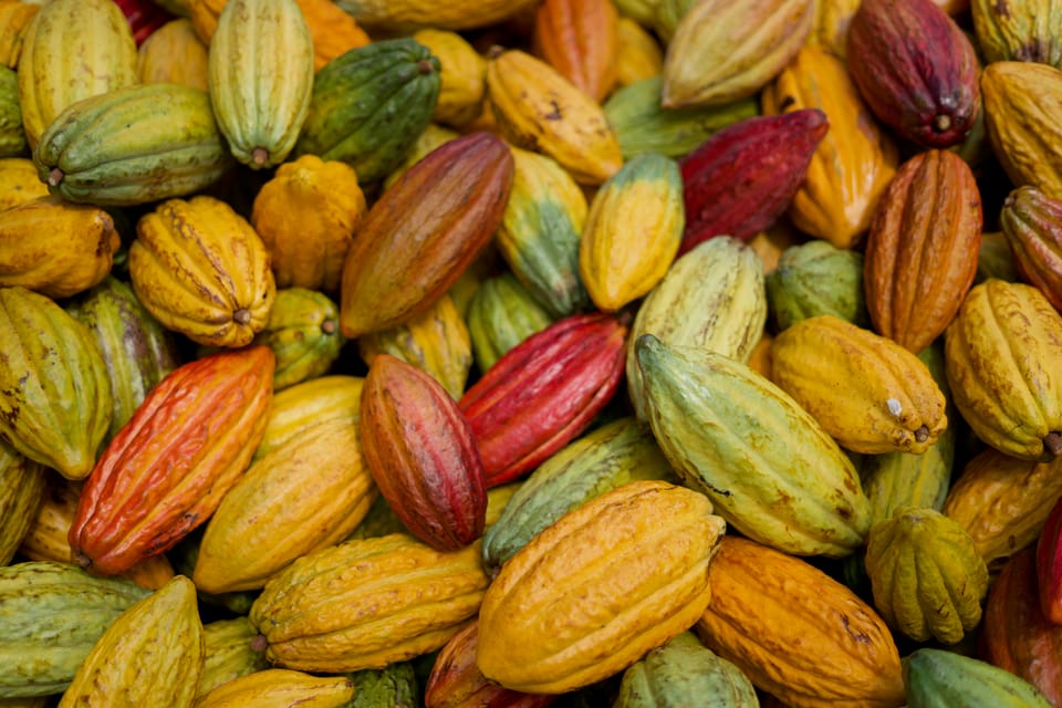 Lahaina: Maui Ku'ia Estate Guided Cacao Farm Tour & Tasting - Key points at a glance