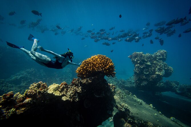 Lāna'i Coast Snorkel and Sail - Is $216.22 a fair Maui splurge?