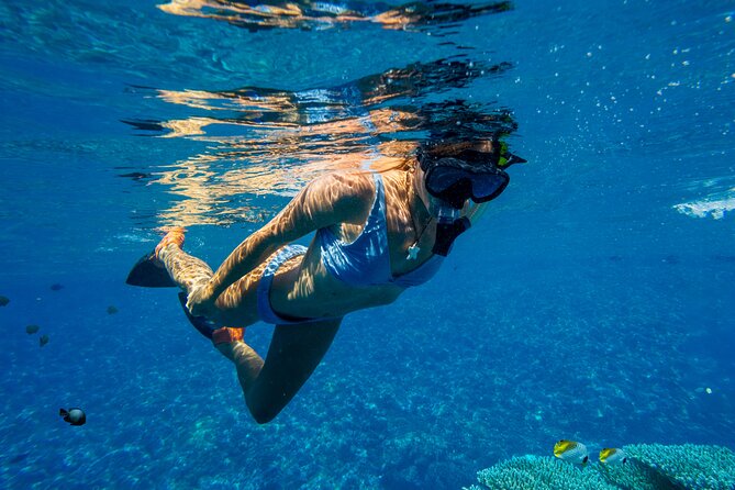 Lāna'i Coast Snorkel and Sail - Weather, changes, and cancellation terms