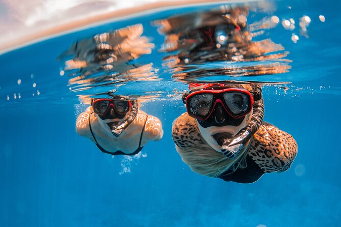 Lana'i Snorkel And Dolphin Quest with Maui Turtle Spot Tour - What the crew adds to the morning