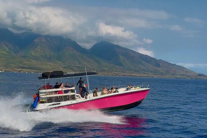 Lana'i Snorkel And Dolphin Quest with Maui Turtle Spot Tour - Who will get the most from this Lanai trip