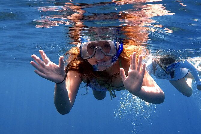 Lana'i Snorkel And Dolphin Quest with Maui Turtle Spot Tour - Is the price good value?