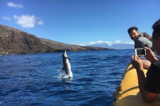 Lanai Deluxe Dolphin Adventure & 3 Snorkel Sites - A fast morning departure from Mala Boat Ramp