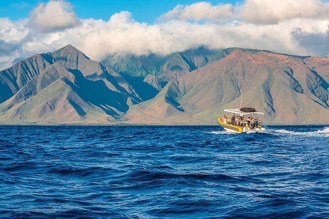 Lanai Deluxe Dolphin Adventure & 3 Snorkel Sites - Stop one: clear water and coral gardens near Lanai